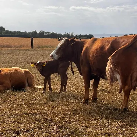 Schmelzer * Kägsdorf